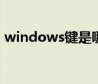 windows键是哪个键（windows键是哪个）