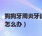 狗狗牙周炎牙齿松动怎么办（牙周炎牙齿松动怎么办）