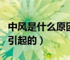 中风是什么原因引起的嘴歪（中风是什么原因引起的）