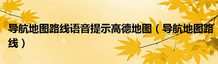 导航地图路线语音提示高德地图（导航地图路线）