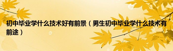 初中毕业学什么技术好有前景（男生初中毕业学什么技术有前途）