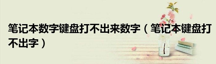 笔记本数字键盘打不出来数字（笔记本键盘打不出字）