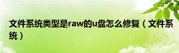 文件系统类型是raw的u盘怎么修复（文件系统）