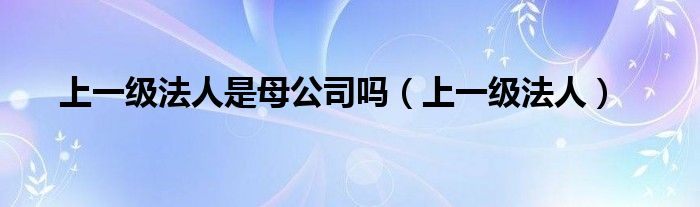 上一级法人是母公司吗（上一级法人）