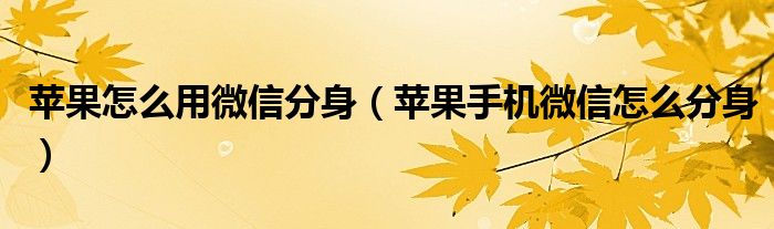 苹果怎么用微信分身（苹果手机微信怎么分身）