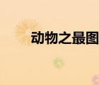 动物之最图片卡通（动物之最图片）