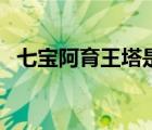 七宝阿育王塔是几级文物（七宝阿育王塔）