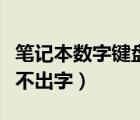 笔记本数字键盘打不出来数字（笔记本键盘打不出字）