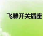 飞雕开关插座 图解视频（飞雕开关插座）