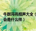 牛群冯巩相声大全（日美野梓牛群范艾克塞尔的图片PS一下会是什么样）