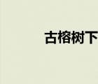 古榕树下文学网站（古榕树下）