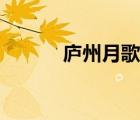 庐州月歌词寓意（庐州月歌词）