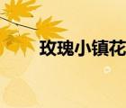 玫瑰小镇花期（玫瑰小镇桃花种子）