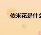 依米花是什么花（依米花真的存在吗）