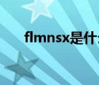 flmnsx是什么意思（nsx是什么意思）