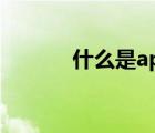 什么是app意思（什么是app）