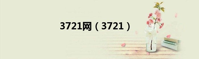 3721网（3721）