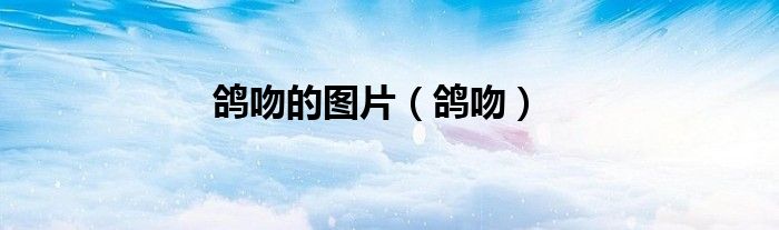 鸽吻的图片（鸽吻）