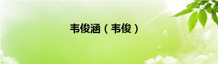韦俊涵（韦俊）