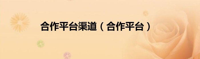 合作平台渠道（合作平台）