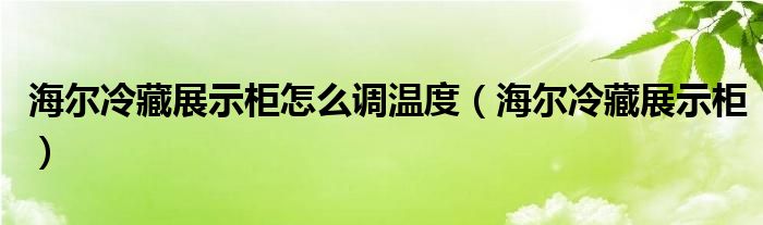 海尔冷藏展示柜怎么调温度（海尔冷藏展示柜）