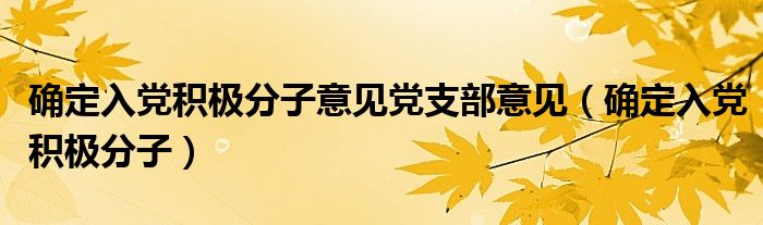 确定入党积极分子意见党支部意见（确定入党积极分子）