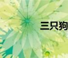 三只狗咬死小孩（死小孩）