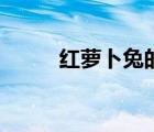 红萝卜兔的钩织教程（红萝卜兔）