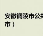 安徽铜陵市公共资源交易中心官网（安徽铜陵市）