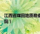 江西省煤田地质勘查研究院招聘（江西省煤田地质勘察研究院）