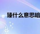 臻什么意思暗示着什么（臻于什么意思）