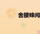 舍腰蜂阅读理解答案（舍腰蜂）