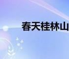 春天桂林山水简介（桂林山水简介）