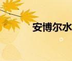 安博尔水壶是品牌吗（安博尔）