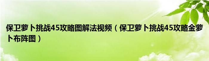 保卫萝卜挑战45攻略图解法视频（保卫萝卜挑战45攻略金萝卜布阵图）