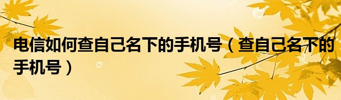 电信如何查自己名下的手机号（查自己名下的手机号）