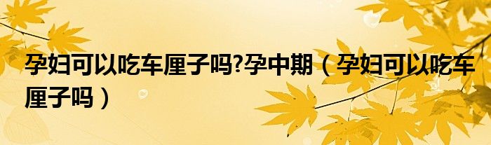 孕妇可以吃车厘子吗?孕中期（孕妇可以吃车厘子吗）