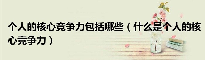 个人的核心竞争力包括哪些（什么是个人的核心竞争力）