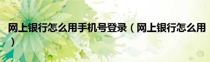 网上银行怎么用手机号登录（网上银行怎么用）