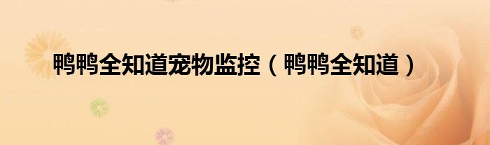 鸭鸭全知道宠物监控（鸭鸭全知道）
