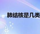肺结核是几类传染病（肺结核怎么传染）