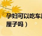 孕妇可以吃车厘子吗?孕中期（孕妇可以吃车厘子吗）
