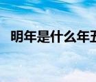 明年是什么年五行属什么（明年是什么年）