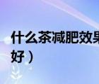 什么茶减肥效果最好最快（什么茶减肥效果最好）