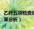 乙肝五项检查结果分析报告（乙肝五项检查结果分析）