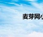 麦芽网小达人官网（麦芽网）