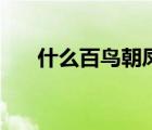 什么百鸟朝凤带有（什么是百鸟朝凤）