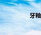 牙釉质损伤（牙釉质）