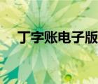 丁字账电子版怎么做（丁字账电子模板）
