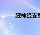 腋神经支配三角肌（腋神经支配）